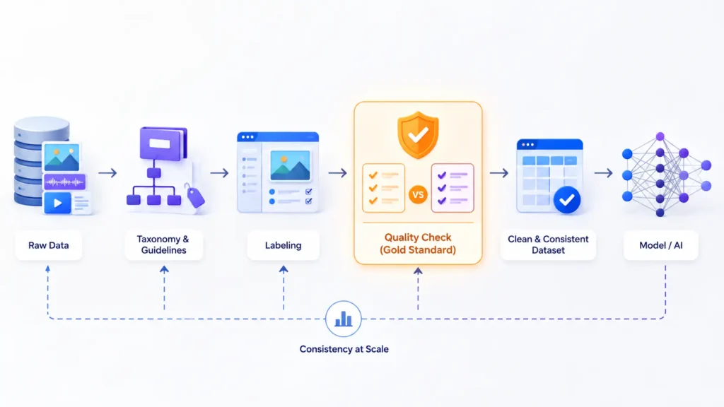 Flat illustration of a data labeling pipeline with raw data passing through a taxonomy stage and a gold-standard quality checkpoint before flowing into a clean training dataset, representing data labeling services for machine learning.